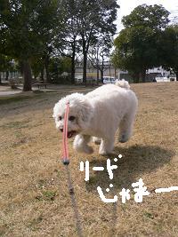 画像 6130.jpg