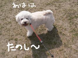 画像 6132.jpg