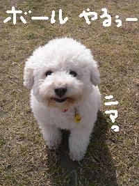画像 6133.jpg