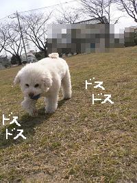 画像 6134.jpg
