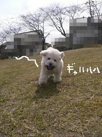 画像 6136.jpg