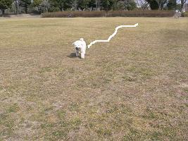 画像 6138.jpg