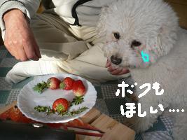 画像 6142.jpg