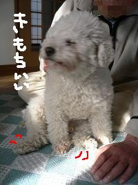 画像 6146.jpg