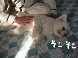 画像 6149.jpg