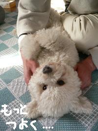 画像 6150.jpg
