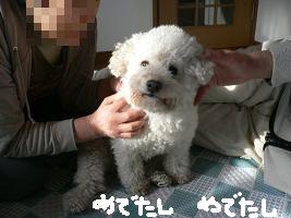 画像 6151.jpg