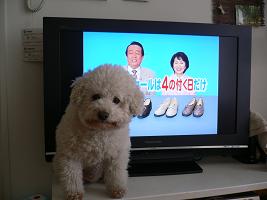 画像 6156.jpg