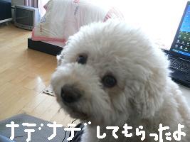 画像 6159.jpg