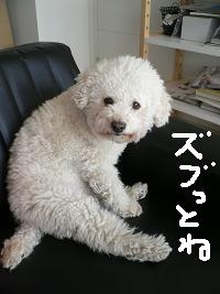 画像 6161.jpg