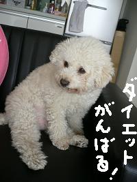 画像 6162.jpg