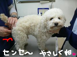 画像 6167.jpg