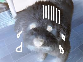 画像 6169.jpg