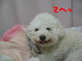 画像 6178.jpg
