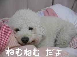 画像 6179.jpg