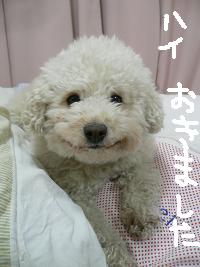 画像 6184.jpg