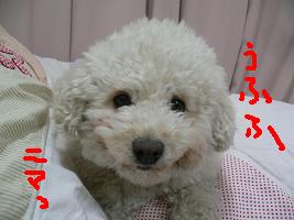 画像 6185.jpg