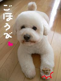 画像 6212.jpg
