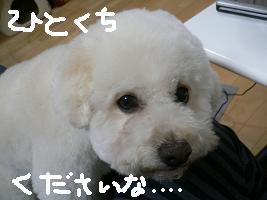 画像 6214.jpg