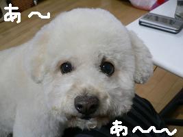 画像 6215.jpg
