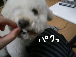 画像 6216.jpg