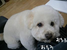 画像 6217.jpg