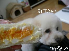 画像 6218.jpg