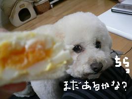 画像 6219.jpg