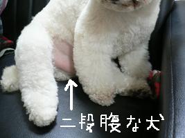 画像 6222.jpg
