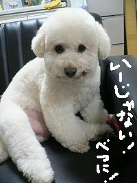 画像 6223.jpg