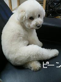 画像 6224.jpg