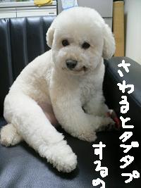 画像 6229.jpg