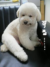 画像 6231.jpg