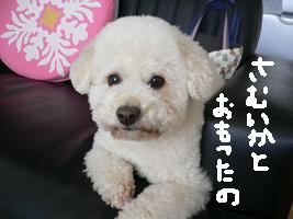画像 6234.jpg