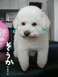 画像 6236.jpg