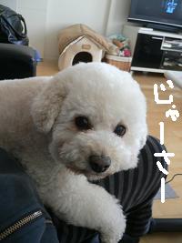 画像 6240.jpg