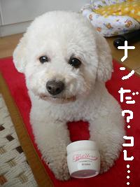 画像 6243.jpg