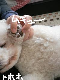 画像 6244.jpg