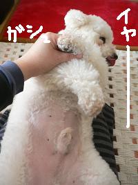 画像 6245.jpg