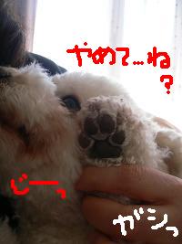 画像 6247.jpg