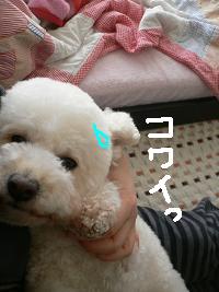 画像 6248.jpg