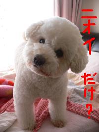 画像 6249.jpg