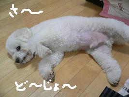 画像 6251.jpg