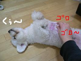 画像 6252.jpg