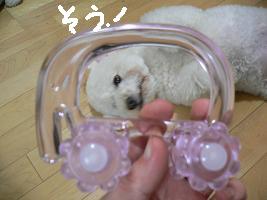 画像 6254.jpg