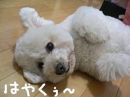 画像 6255.jpg
