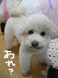 画像 6256.jpg
