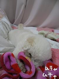 画像 6258.jpg