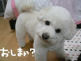 画像 6259.jpg