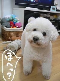 画像 6260.jpg